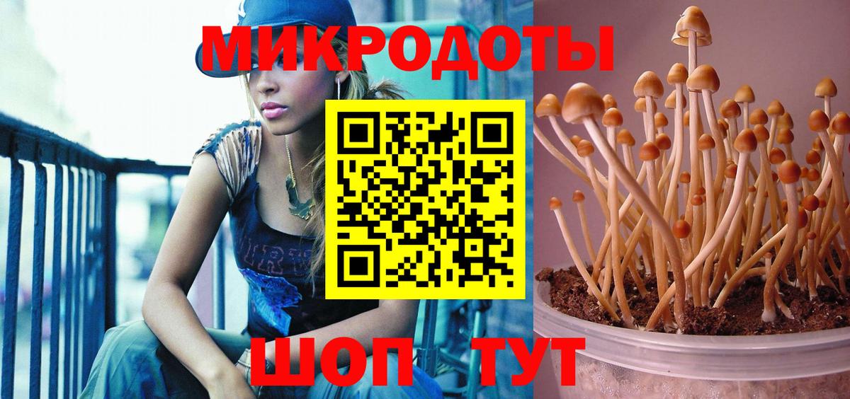 Углич  Псилоцибиновые грибы прущие грибы  Галлюциногенные грибы Magic Shrooms  Вход с VPN 