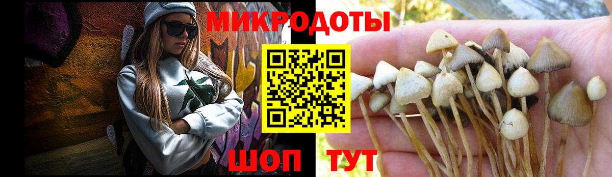 Галлюциногенные грибы Psilocybine cubensis Углич